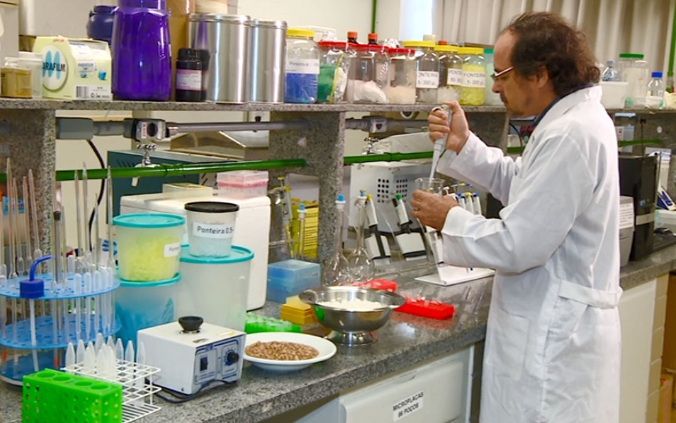 Pesquisador da Unicamp em Campinas desenvolve biscoito de arroz e feijão com alto valor nutricional. — Foto: Reprodução/EPTV