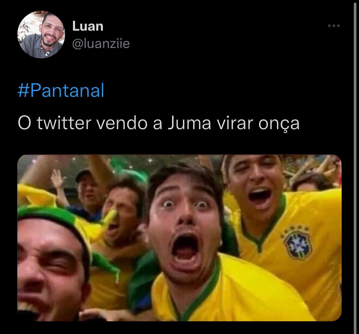 Internet reage ao momento em que Juma vira onça em 'Pantanal' (Foto: Reprodução / Instagram)