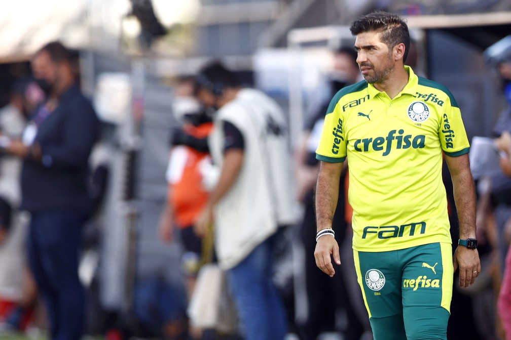 Abel Ferreira Novorizontino x Palmeiras — Foto: Thiago Calil/AGIF