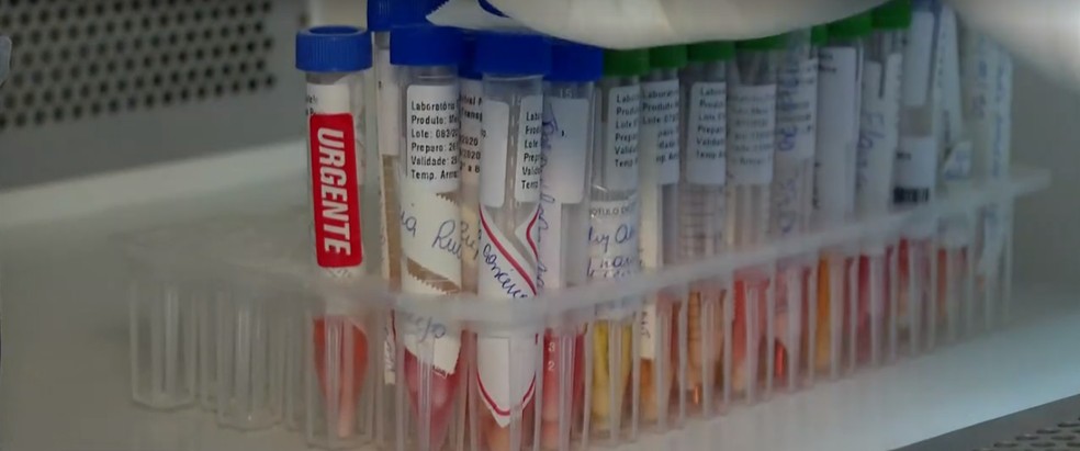 Testes são separados por urgência no laboratório do estado — Foto: Reprodução/TV Globo