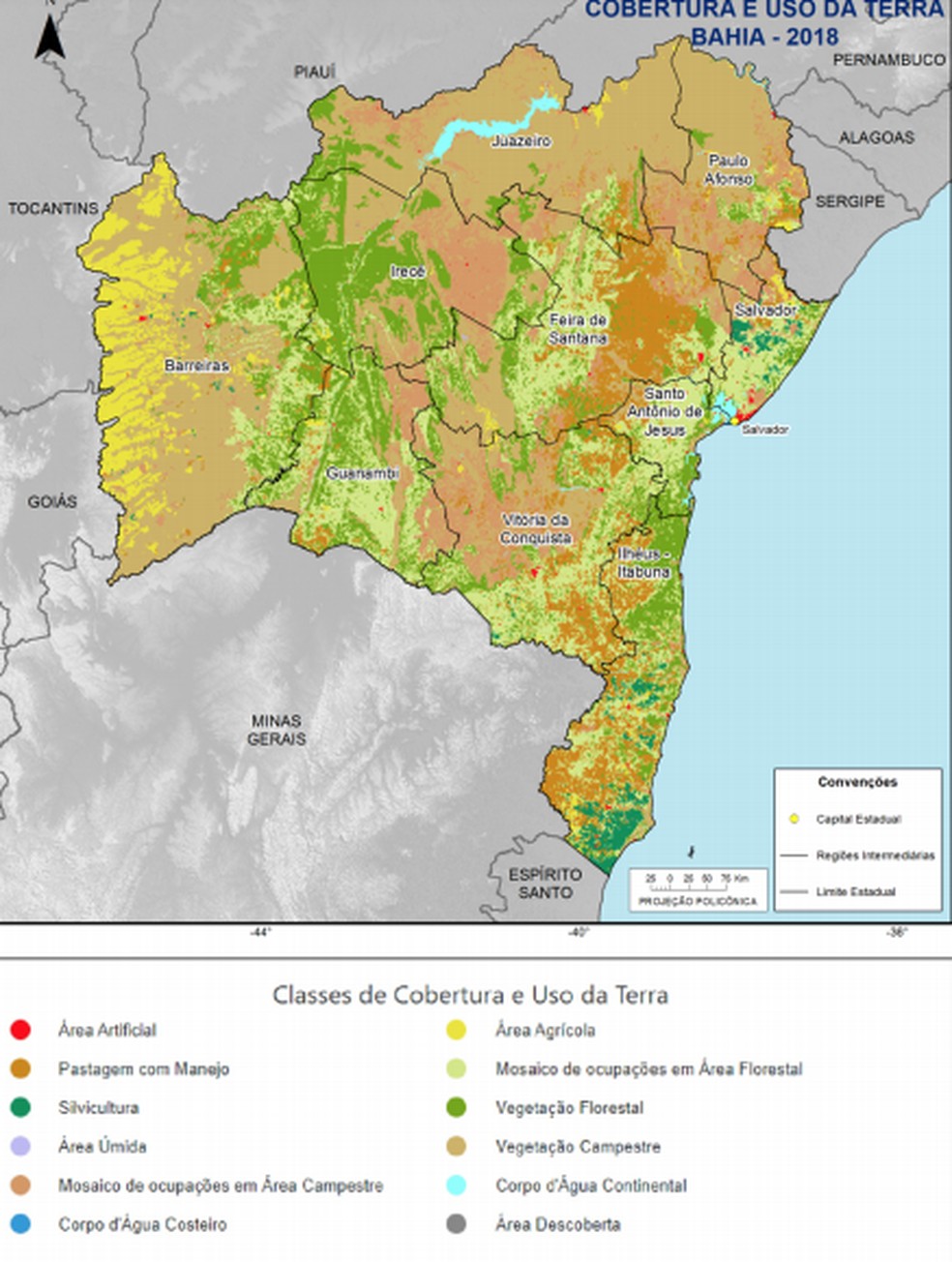 Mapa mostra a distribuição das classes de cobertura e uso da terra no estado — Foto: Reprodução / IBGE