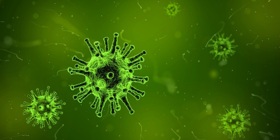 Representação do vírus HIV (Foto: Pixabay)