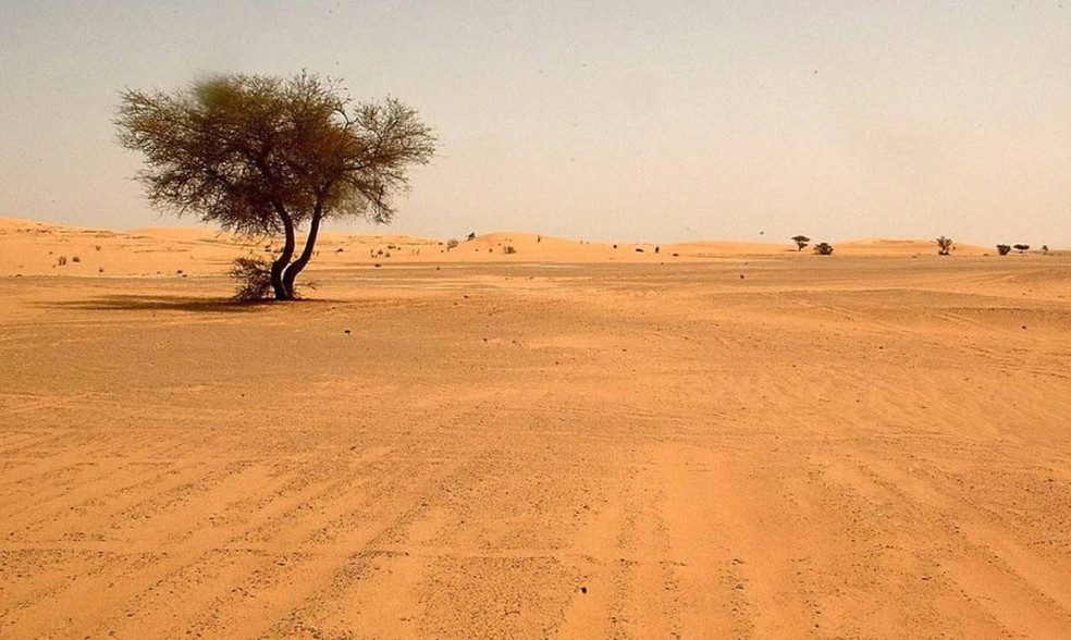 Como Era O Saara Antes De Se Tornar O Maior Deserto Do Planeta Ciencia E Saude G1