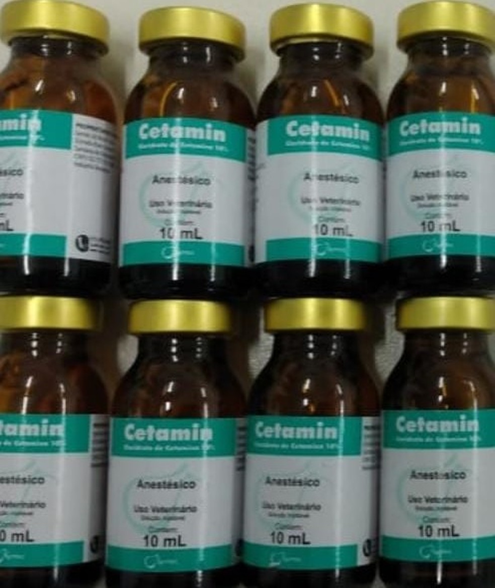 Frascos de cloridrato de cetamina,anestésico veterinário usado para produção de droga sintética, foram apreendidos no Grande Recife — Foto: PM/Divulgação
