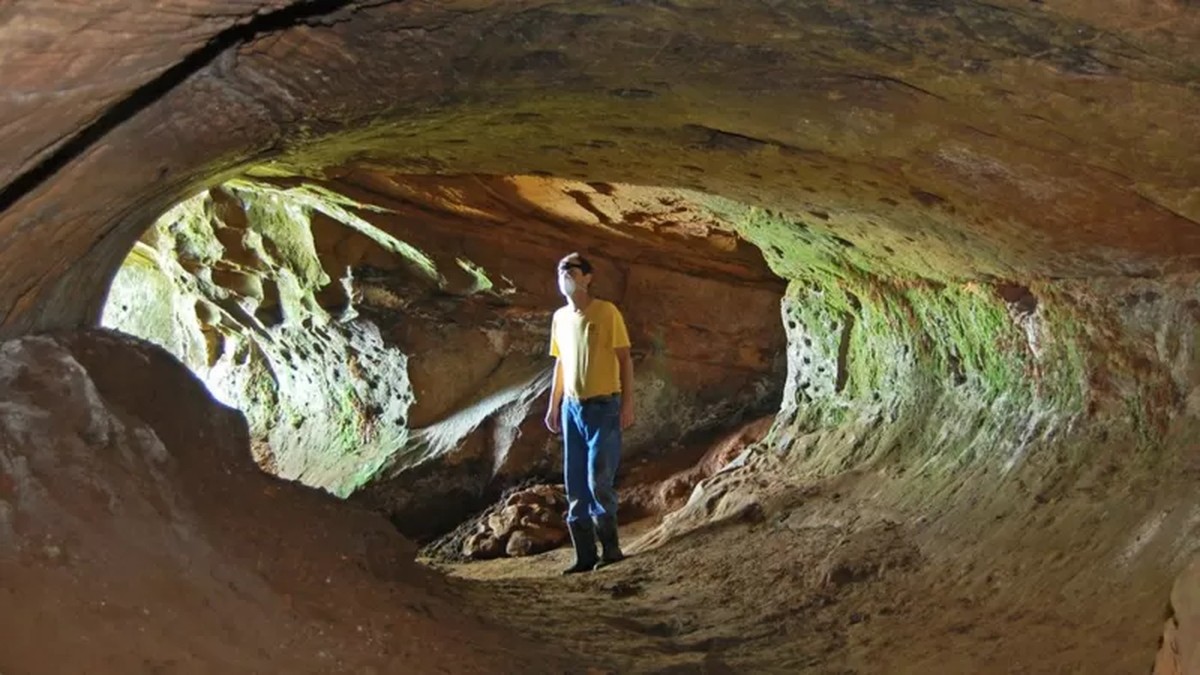 paleomadrigueras: qué estructuras prehistóricas alcanzaron un tamaño sin precedentes en Brasil |  saber