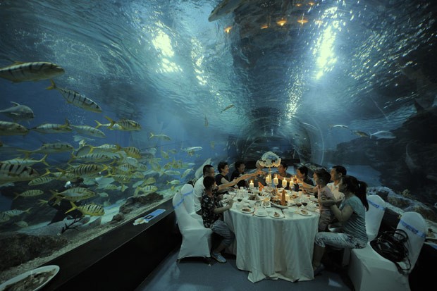 Turistas jantam em túnel subaquático em parque aquático da cidade chinesa de Tianjin (Foto: The Grosby Group)