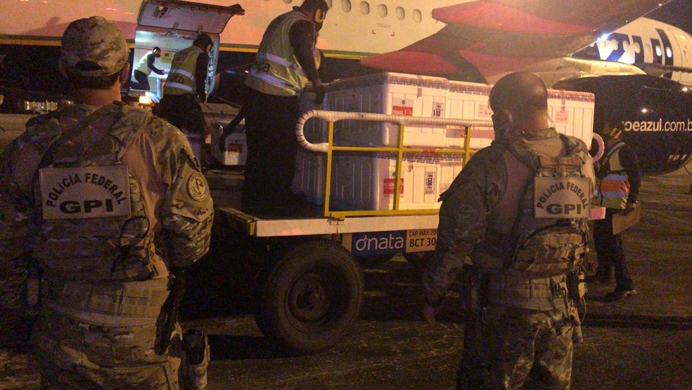 Vacinas começam a ser descarregadas do avião, em Maceió — Foto: Ascom/ PF-AL