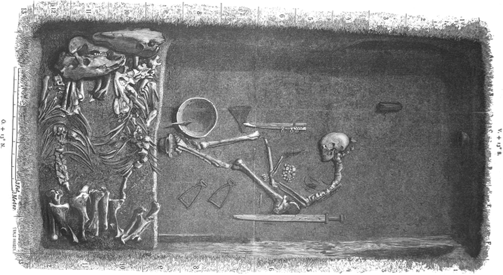 Ilustração mostra a sepultura BJ581, com o esqueleto da guerreira, ornamentos e dois cavalos à esquerda (Foto: Reprodução/American Journal of Physical Anthropology)