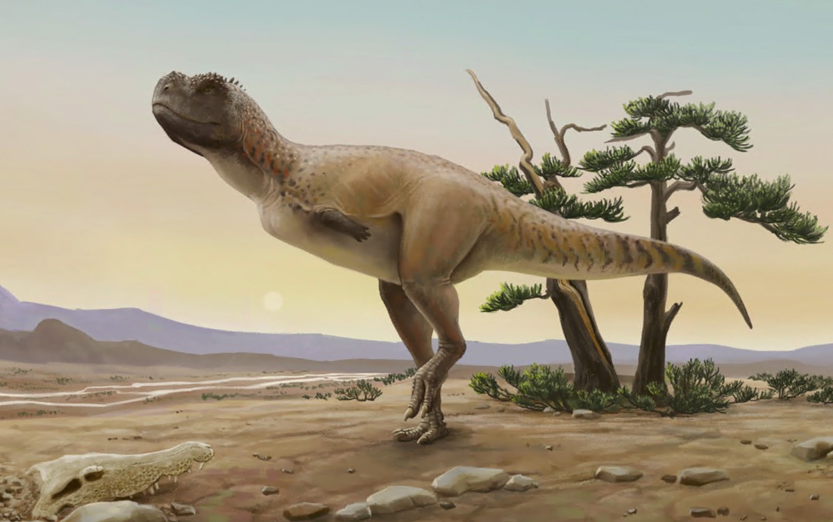 Professor da UFTM participa de pesquisa que descobriu fóssil inédito de dinossauro carnívoro no interior de SP
