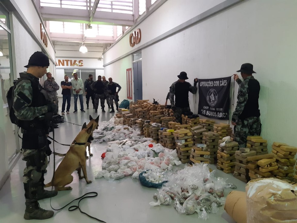 Polícia Militar apreende cerca de 2 toneladas de drogas na Maré, Zona Norte do Rio. — Foto: Divulgação/Polícia Militar 