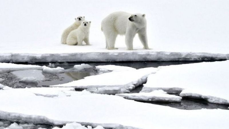 Mudança climática tem provocado derretimento acelerado de gelo nos pólos (Foto: Getty Images via BBC)