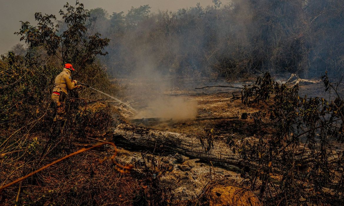 Combate aos incêndios no Pantanal (Foto: Mayke Toscano/Secom-MT)