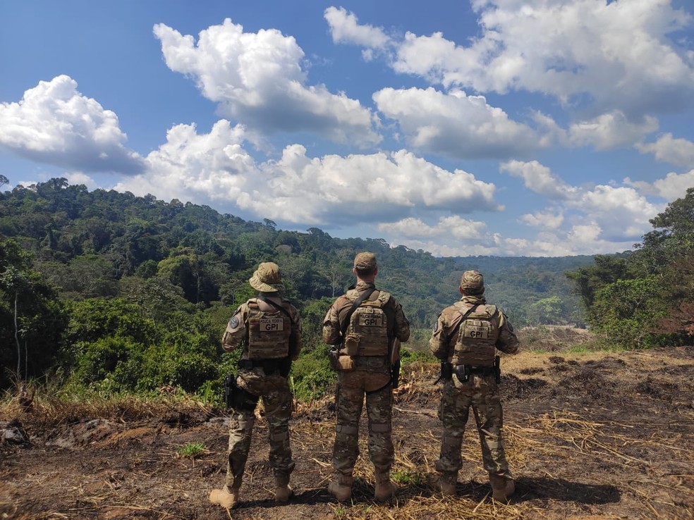 Operação 'Ouro Frio II', realizada em Reserva no município de Almeirim, no PA  — Foto: Divulgação