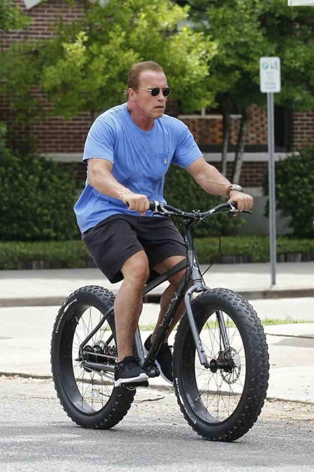 Arnold Schwarzenegger (Foto: Backgrid USA)