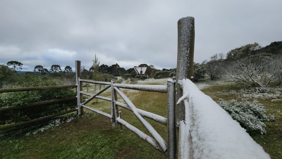 Junção de temperaturas baixas e umidade causou a neve  — Foto: Mycchel Legnaghi/ Divulgação