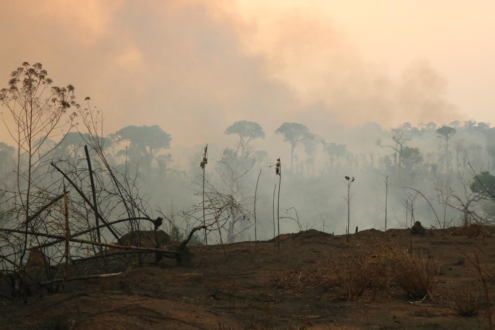 Reforço é para combater queimadas na região Norte.  — Foto: MP-RO/Divulgação