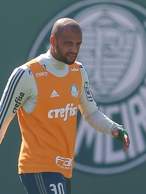 Flavio Canuto  Blog do Torcedor do Palmeiras