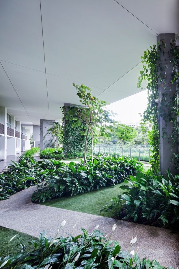 Jardim cria experiência sensorial (Foto: Rory Daniel/ Far East Organizati)