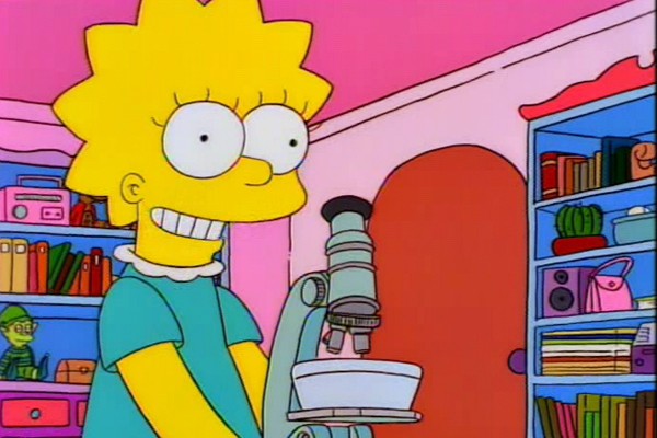 Lisa Simpson, de Os Simpsons (Foto: reprodução)