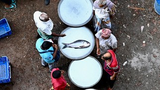 Pessoas olham um peixe à venda no mercado de peixes ao lado do rio Buriganga, em Dhaka — Foto: Munir uz zaman / AFP
