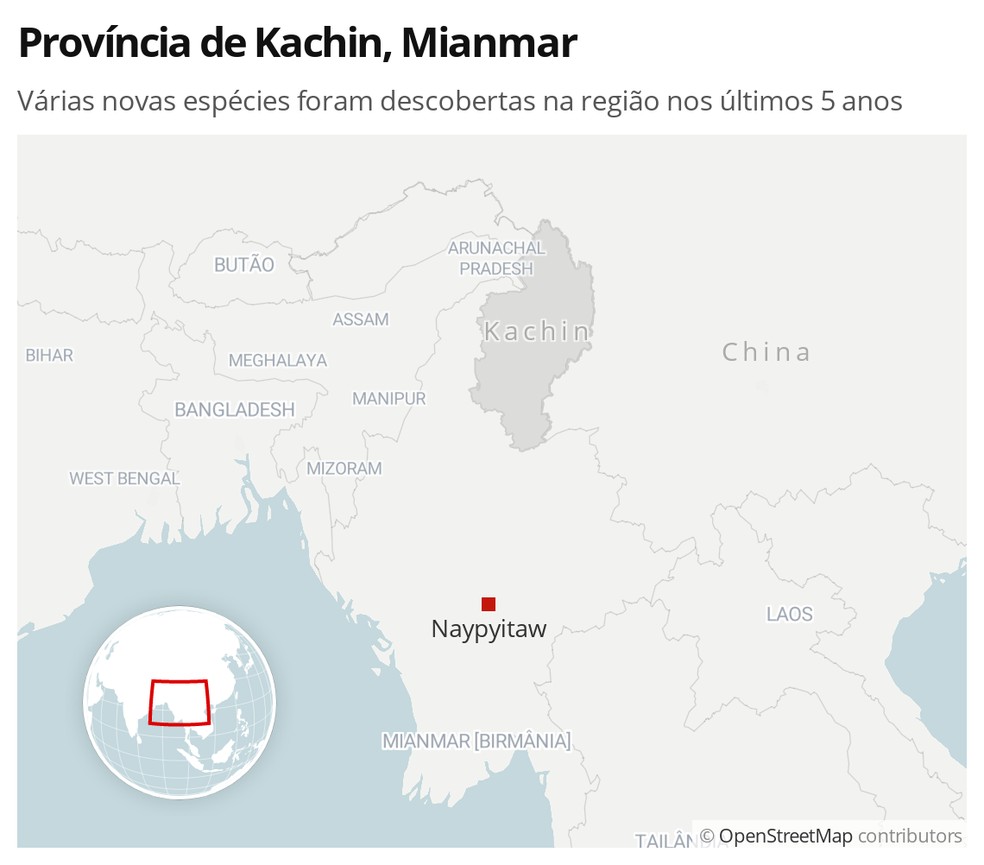 A província de Kachin, no norte de Mianmar, tem sido o local de descoberta de várias espécies nos últimos cinco anos — Foto: G1 