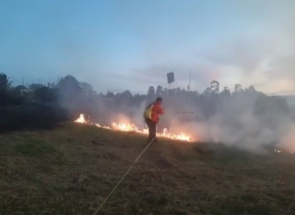 &Aacute;rea de mato ficou em chamas em Boituva &mdash; Foto: Prefeitura de Boituva/Divulga&ccedil;&atilde;o