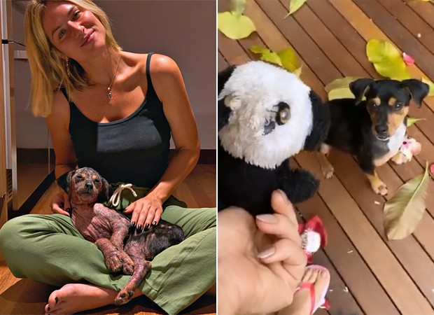 Giovanna Ewbank e a cachorrinha Lasanha (Foto: Reprodução / Instagram)