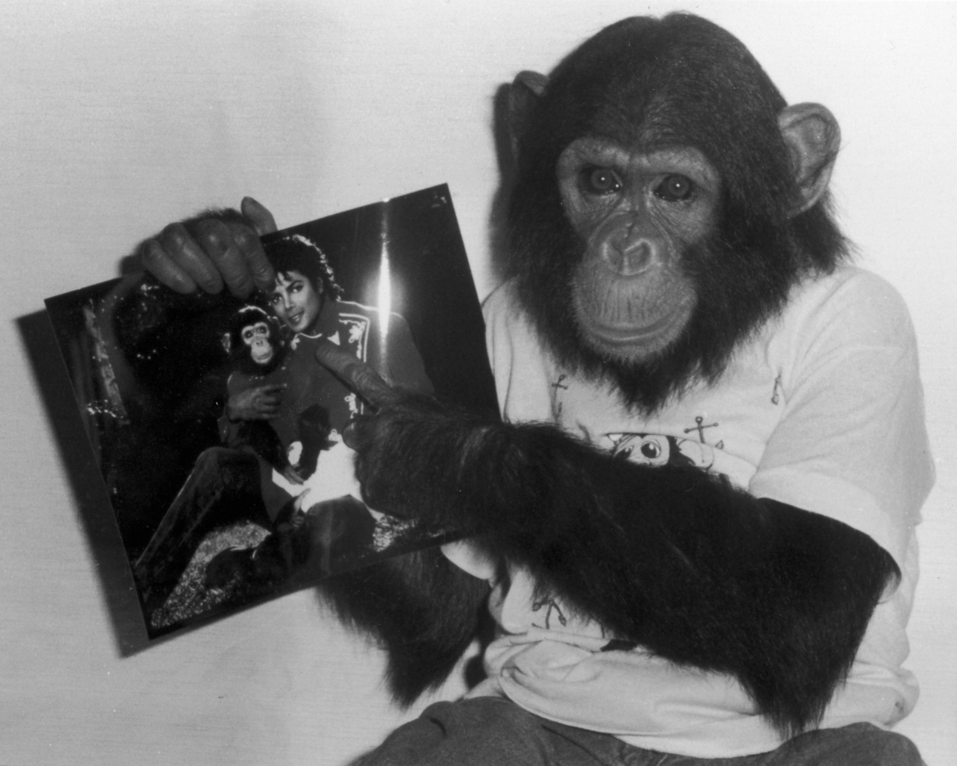 O chimpanzé Bubbles em 1987. (Foto: Getty Images)