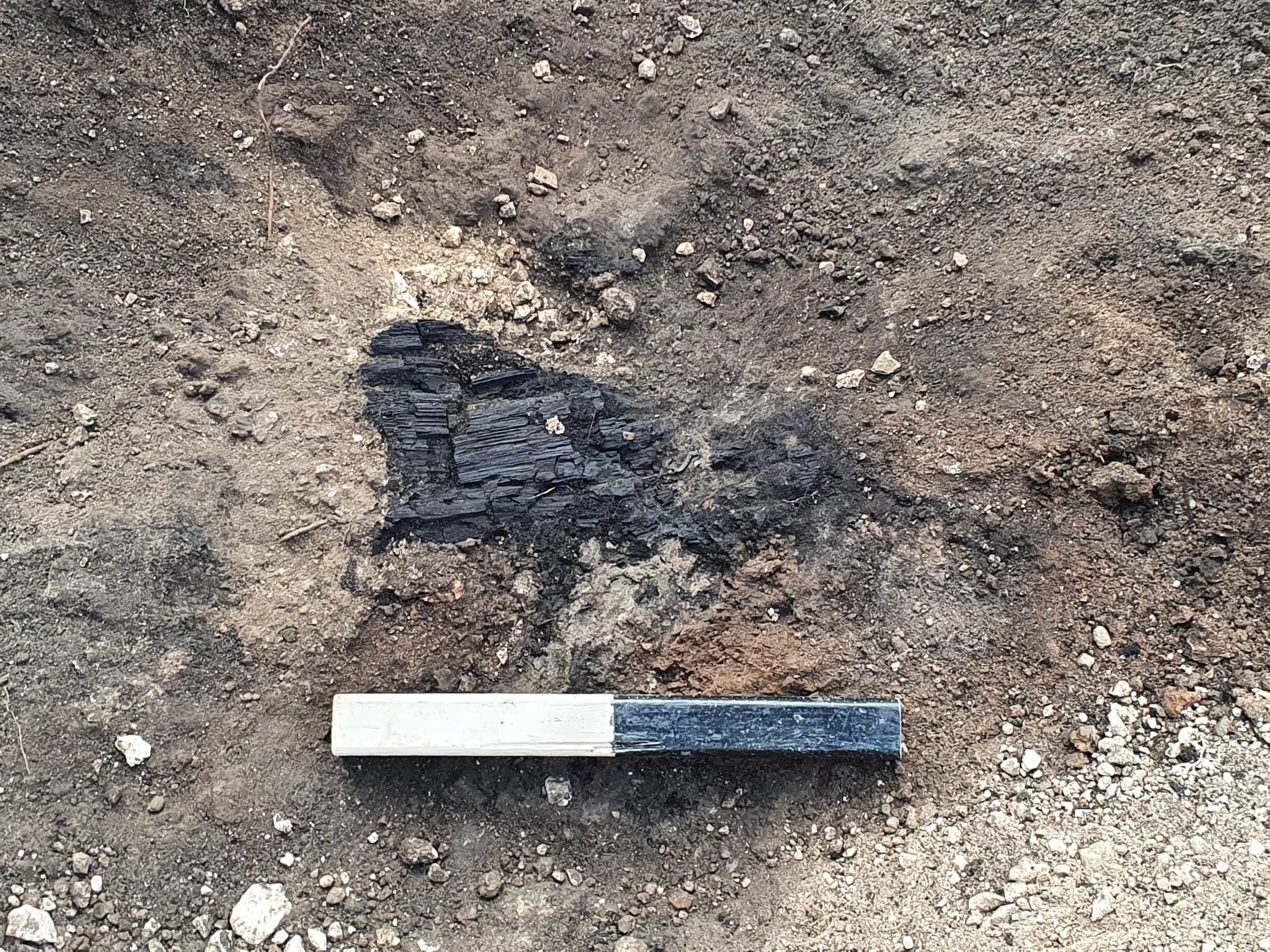 Arqueólogos encontraram forte helenístico na região de Sefelá, em Israel (Foto: Reprodução/Facebook/Israel Antiquities Authority )