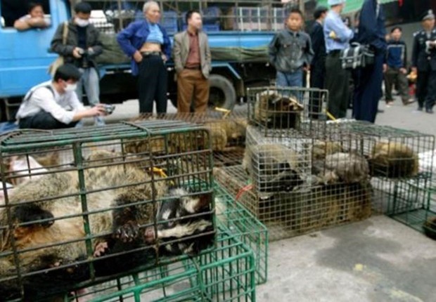 BBC: Em 2004, as autoridades confiscaram civetas no mercado de animais silvestres de Xinyuan, em Guangzhou, para impedir a propagação da Sars (Foto: GETTY IMAGES VIA BBC )