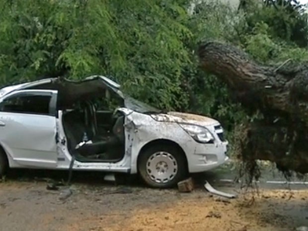 Árvore caiu sobre táxi em Higienópolis, na região central de São Paulo (Foto: Reprodução/TV Globo)
