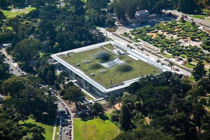 California Academy of Sciences - São Francisco - Califórnia/Estados Unidos (Foto: California Academy of Sciences / Divulgação)