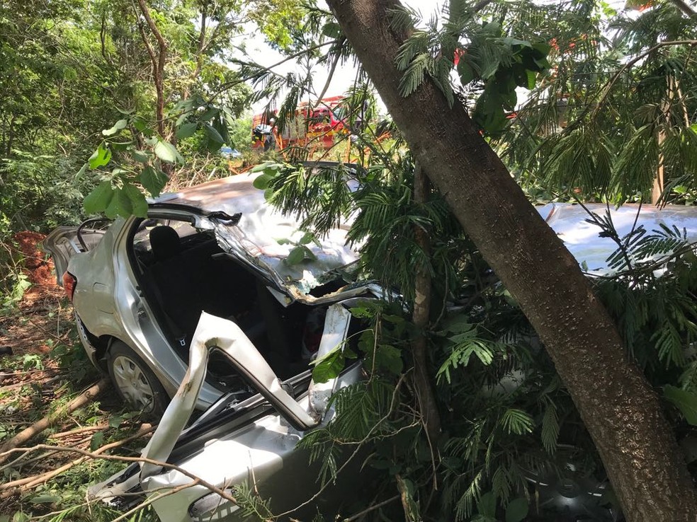 Condutor perdeu o controle do veículo, saiu da pista e bateu em várias árvores às margens da rodovia (Foto: Corpo de Bombeiros/Divulgação)