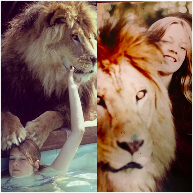 Melanie Griffith com seus leões na infância (Foto: Reprodução / Instagram)