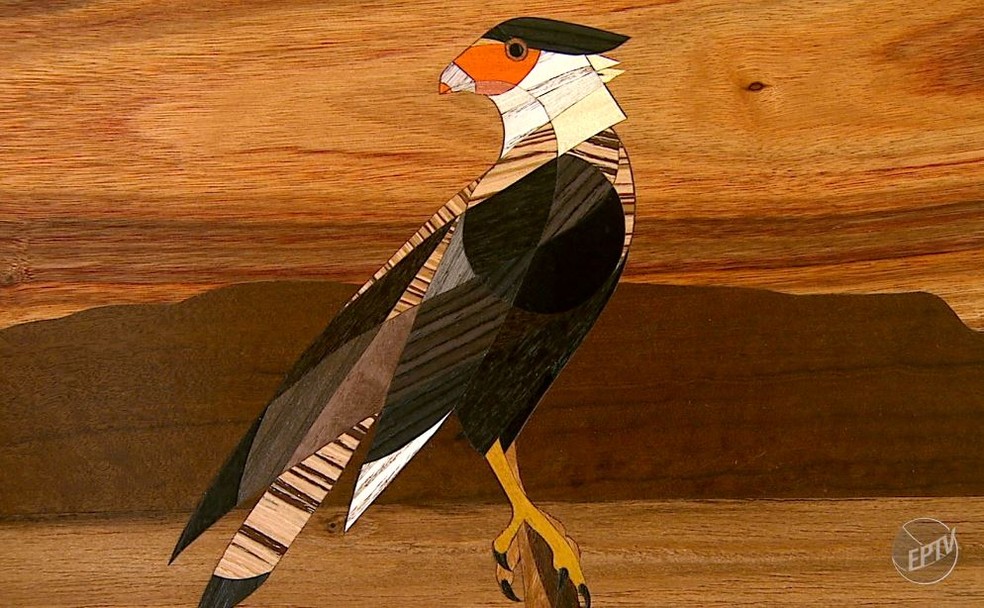 Bi&oacute;loga une paix&atilde;o pelas aves com a arte. &mdash; Foto: Terra da Gente/Arquivo pessoal