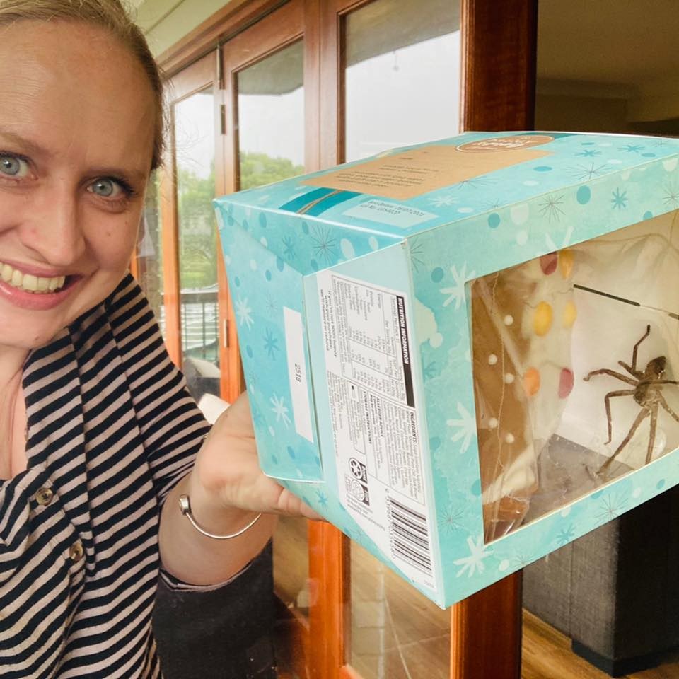 Katie encontrou uma aranha gigante morando na caixa do biscoito que encomendou e fez uma verdadeira sessão de fotos para compartilhar no Facebook (Foto: Reprodução/Facebook)