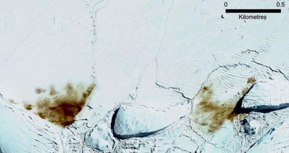 A colônia de Dawson-Lambton cresceu, segundo análise de imagens de satélite de 2018 — Foto: DIGITALGLOBE, A MAXAR COMPANY
