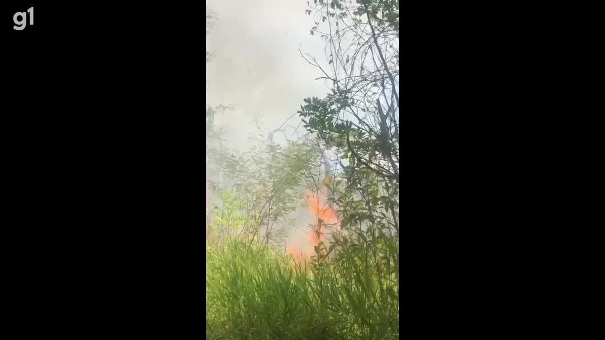 VÍDEO: Incêndio é registrado na Serra dos Cavalos, em Caruaru