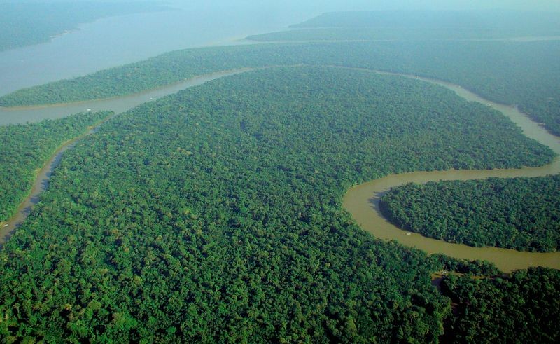Visão aérea do Rio Solimões na Amazônia (Foto: lubasi / Wikimedia Commons / CreativeCommons)