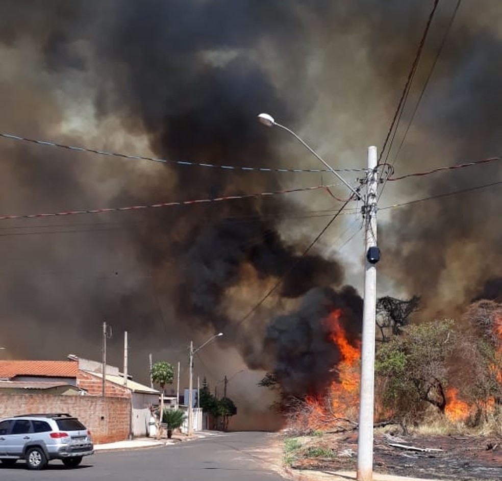 Chamas se alastraram rapidamente em Jales — Foto: Arquivo Pessoal 