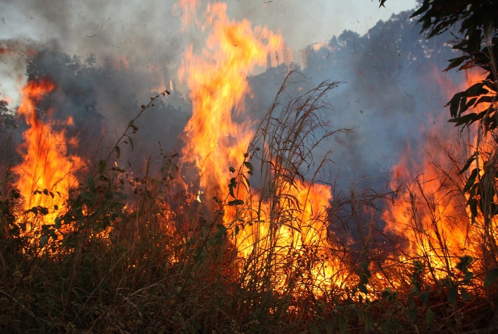 Corpo de Bombeiros afirma que os chamados para ocorrências de queimadas diminuiram no Alto Tietê (Foto: Reprodução/TV Mirante)
