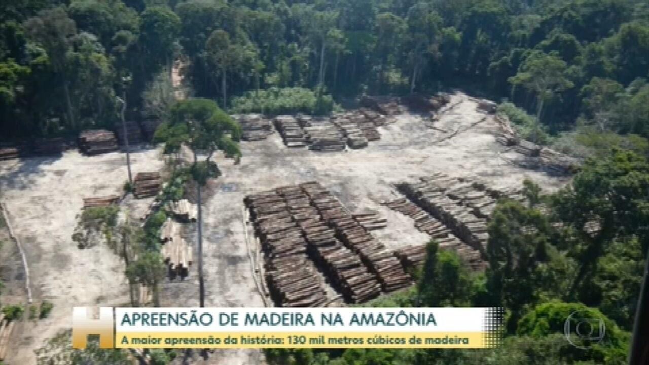 Polícia Federal apreende mais de 130 mil metros cúbicos de madeira em uma operação na divisa do Pará com o Amazonas