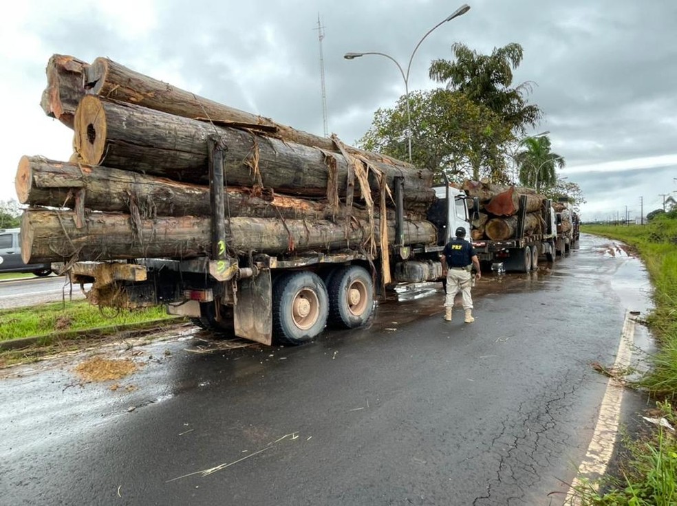 Foram apreendidos quatro caminhões e uma carreta.  — Foto: Ascom PRF/PA