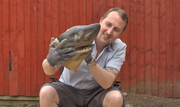 Meninos encontraram cabeça de tubarão em riacho (Foto: Reprodução/YouTube/This is Leicestershire)