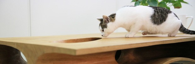 Escrivaninha com túneis para gatos brincarem (Foto: Divulgação)