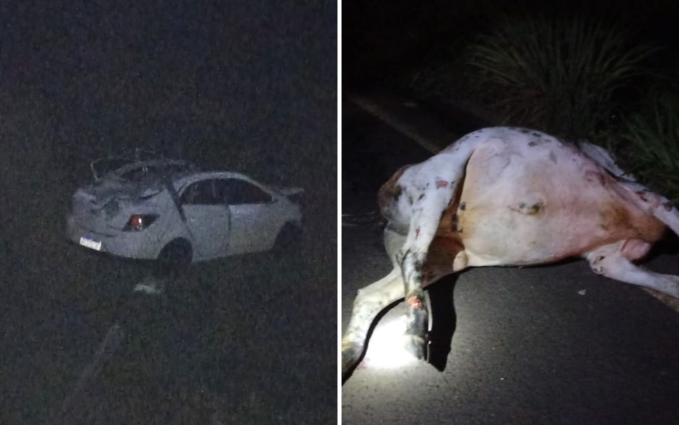 Duas pessoas morrem após carro bater contra  vaca  entre Lagoa Santa e Itajá  — Foto: Divulgação/PRE