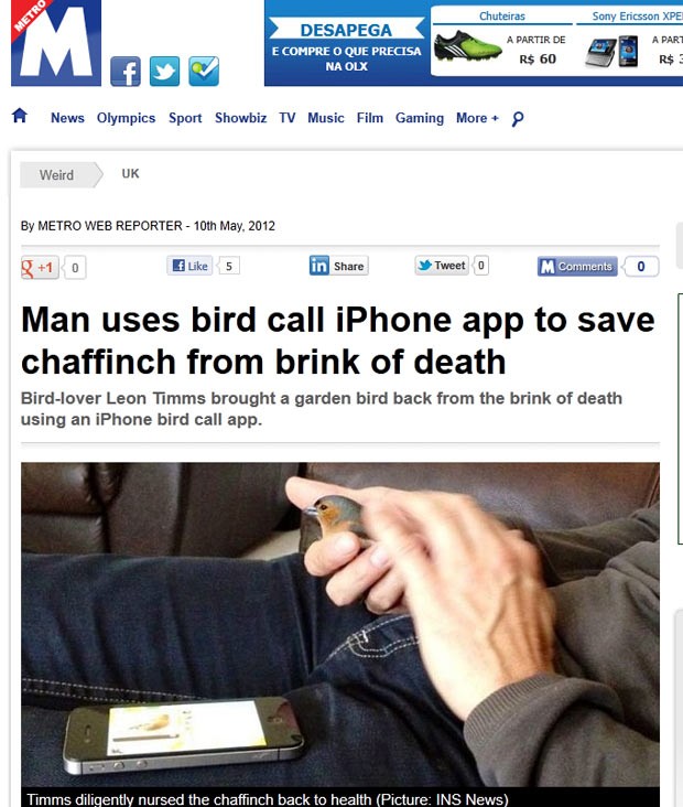 Leon Timms colocou canto de tentilhão no iPhone e 'salvou' passarinho doente. (Foto: Reprodução/Metro)