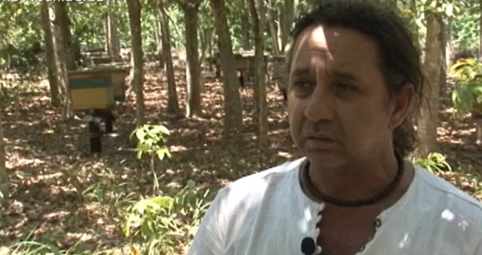 Radialista morre depois que árvore que ele cortava caiu sobre ele no extremo sul da Bahia — Foto: Reprodução/TV Santa Cruz