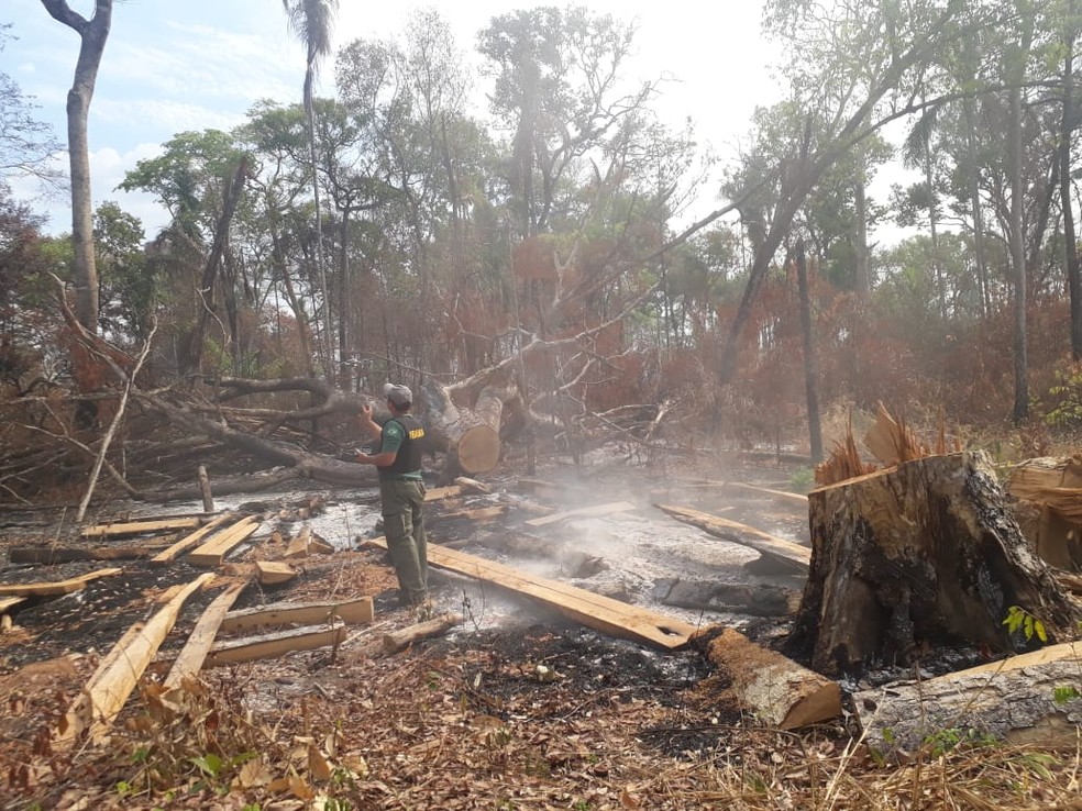 Fogo na Terra Indígena Arões em Mato Grosso — Foto: Ibama