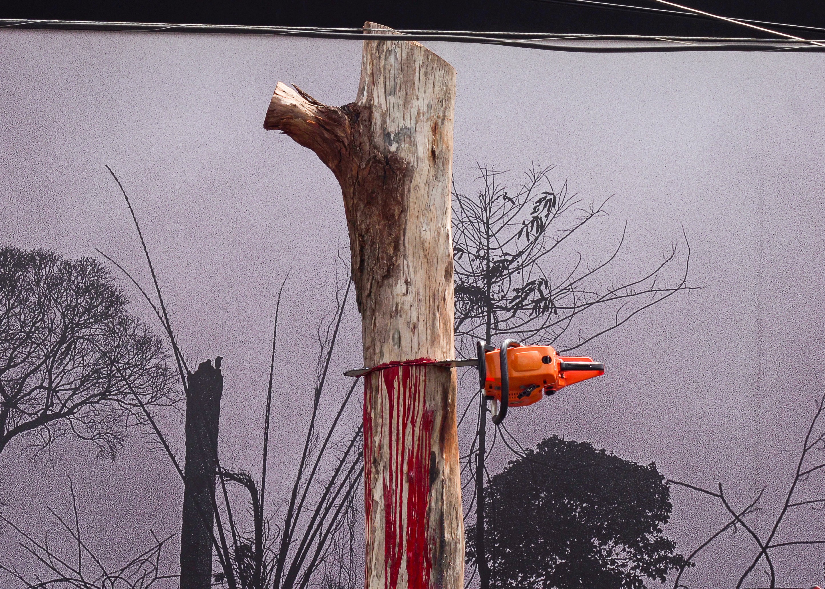 Artista cria obra com árvore sangrando como alerta ao desmatamento (Foto: Divulgação)